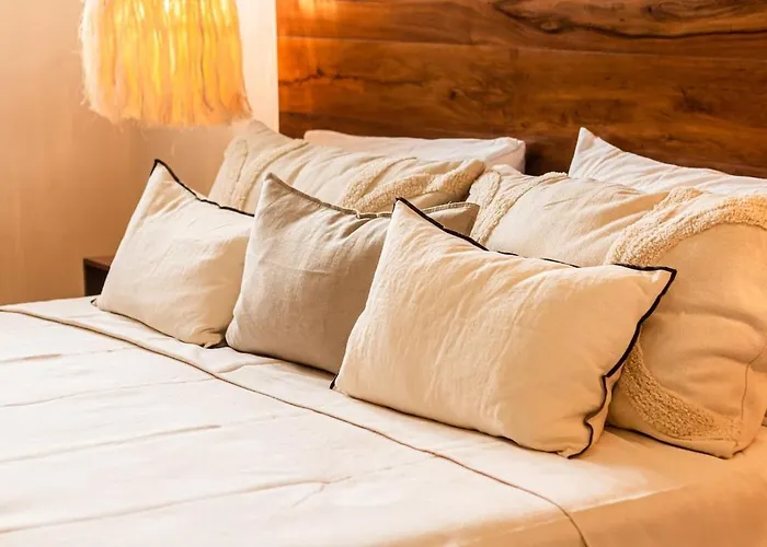 Hotel Jungle Chic 301 Tulum